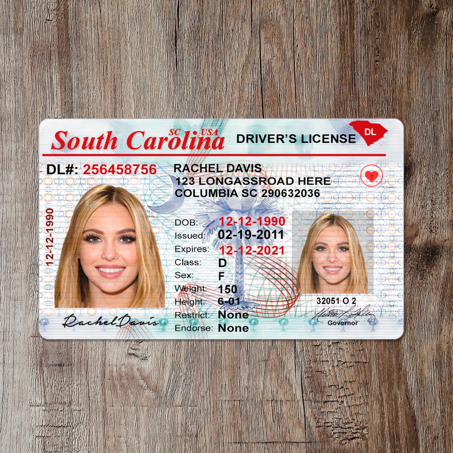 South Carolina DL PSD Template Slide 1