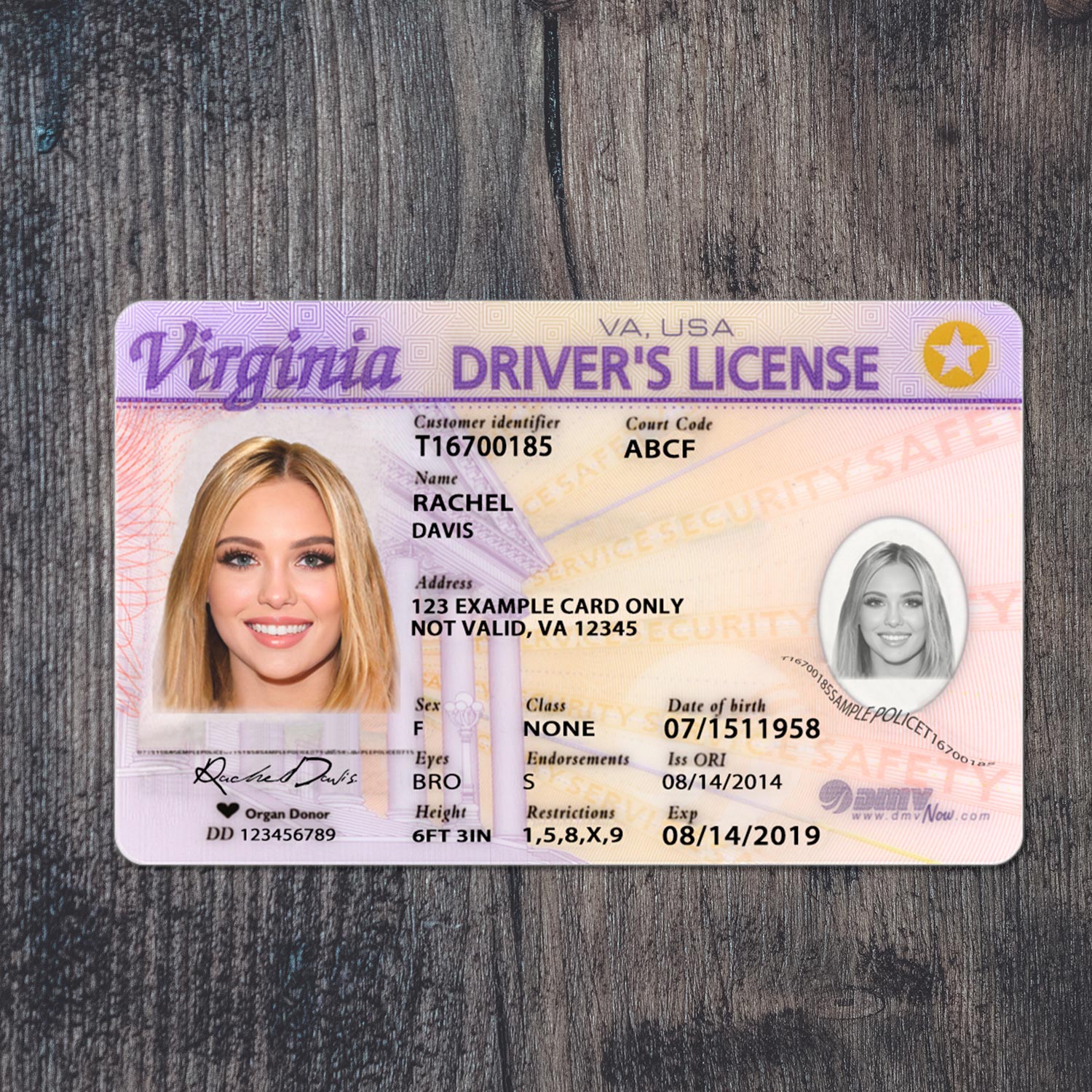 Virginia DL PSD Template Slide 1